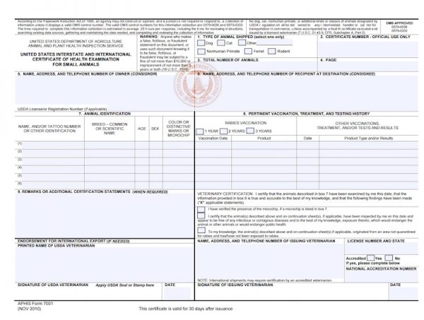 health certificate for non canadian international orders certificate of health