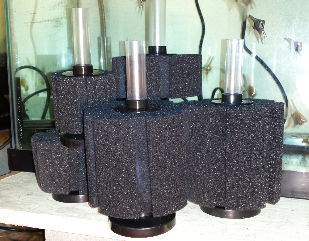 Small 20 Gallon Sponge Filter