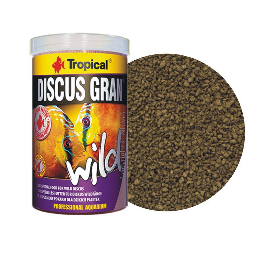 Tropical discus fish food discount