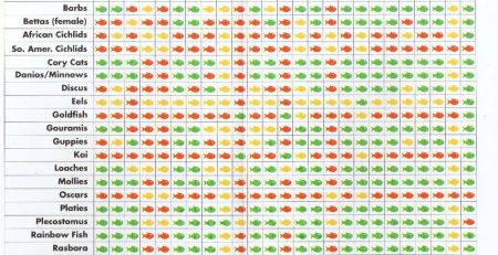 Platy Compatibility Chart