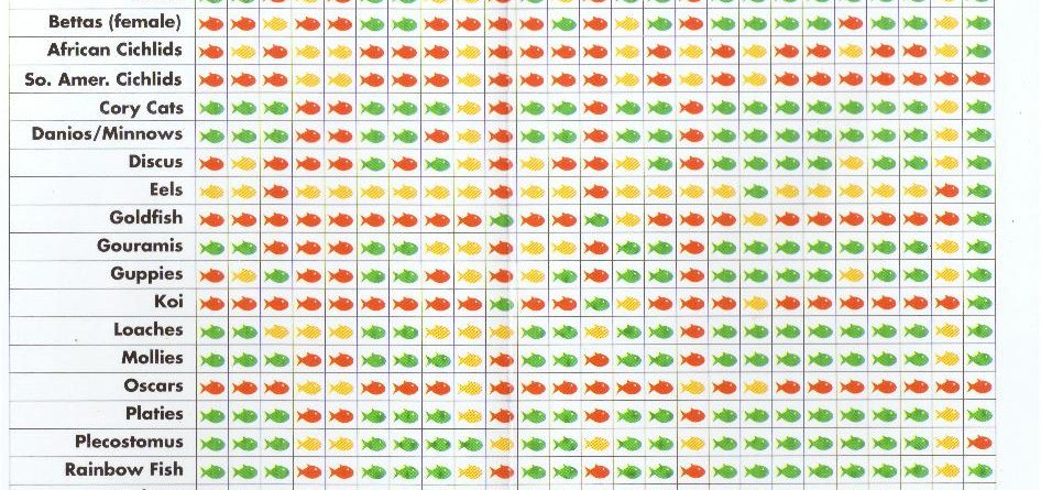 Freshwater Fish Compatibility Chart