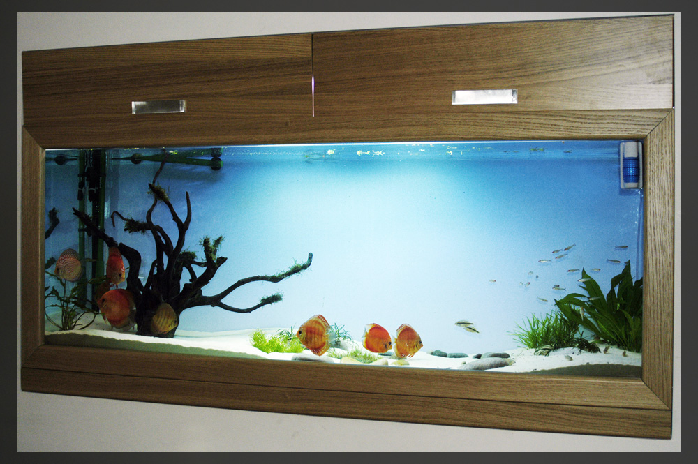 Wooden Aquariums