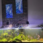 Red Turquoise Alenquer Cross Discus, Brown Base photo review