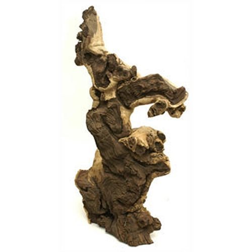 African Mopani Jumbo Unique Driftwood