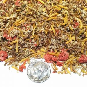 download tubifex worms in humans download tubifex worms in humans