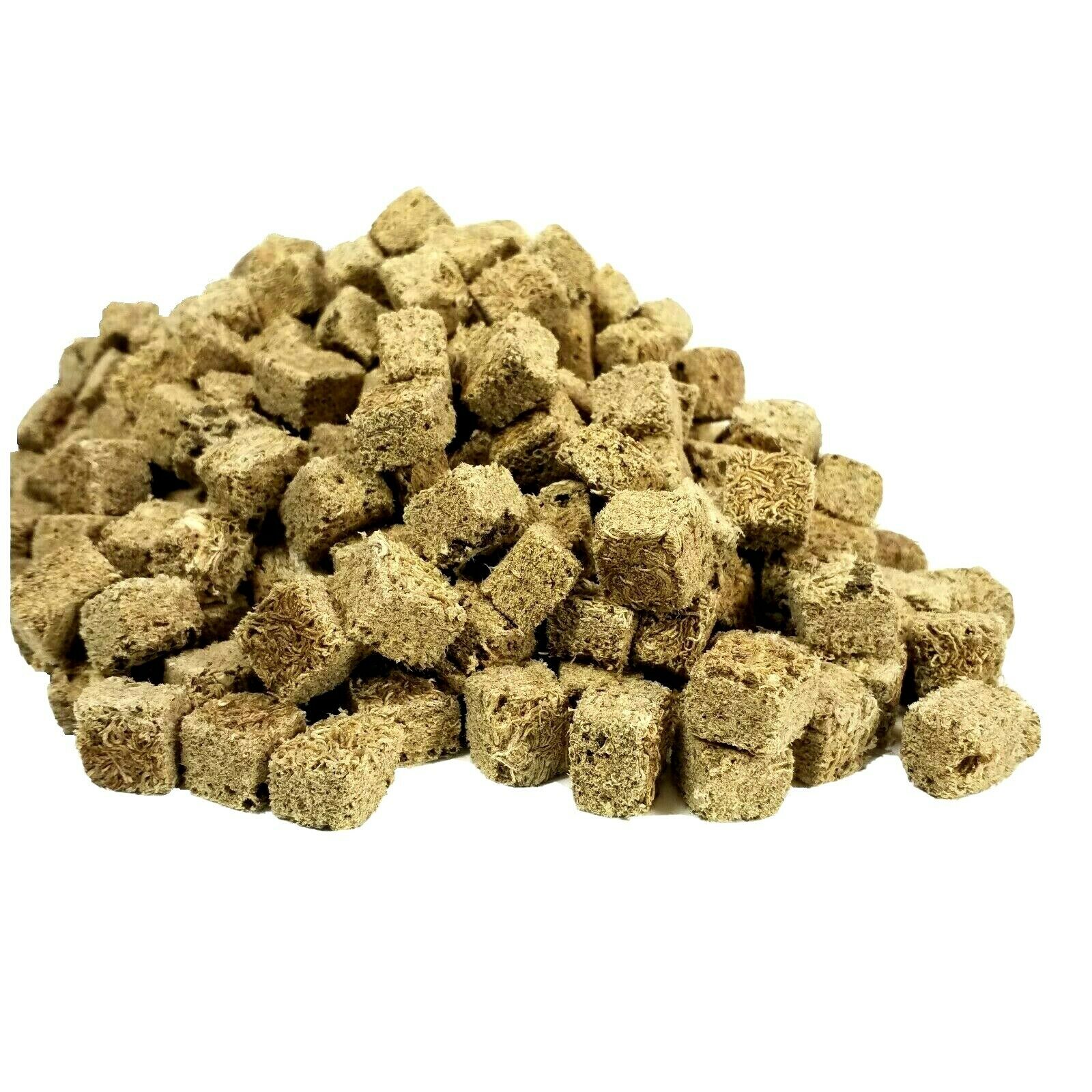 tropical fish food bulk