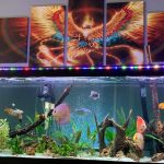 Super Pigeon Snakeskin Discus, Yellow Base photo review