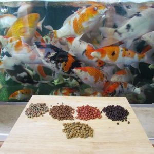 Medicated Fish Foods