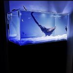 Marlboro Red Panda Discus photo review