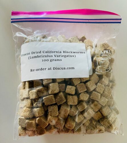 Blackworms, Freeze Dried Premium Colorado Blackworm Cubes, Free Shipping Included! photo review